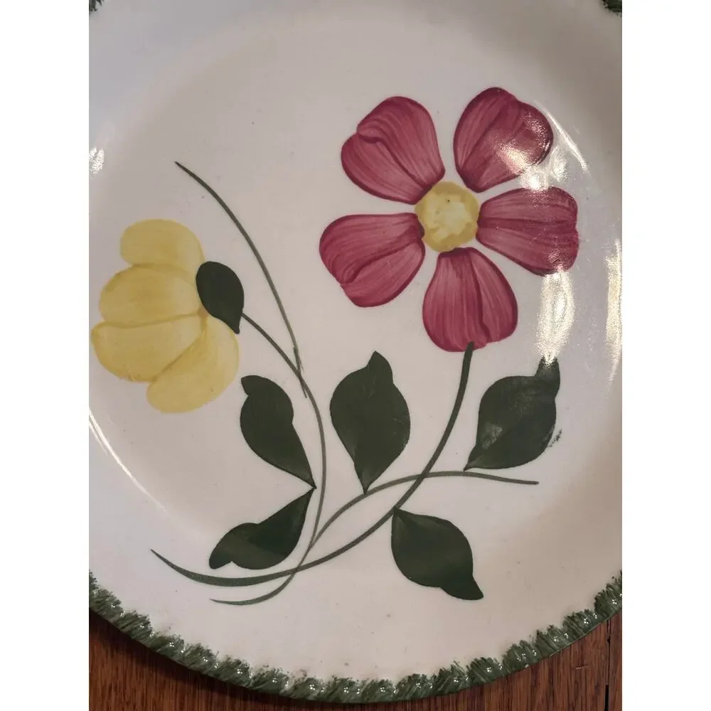 Vintage Blue Ridge Southern Pottery Plate with Flowers 9.5